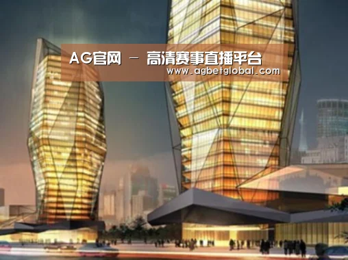 AG体育案例展示二